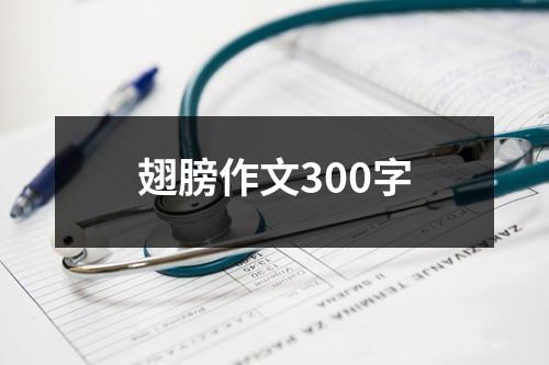 翅膀作文300字