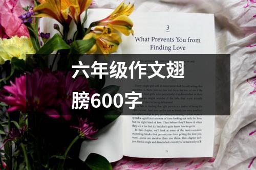 六年级作文翅膀600字