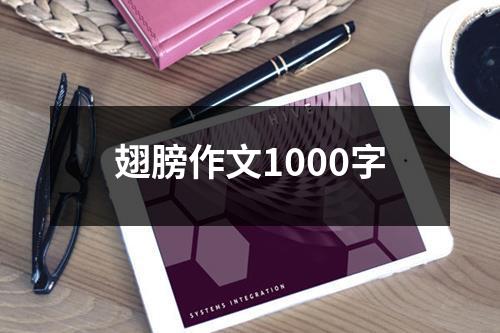 翅膀作文1000字