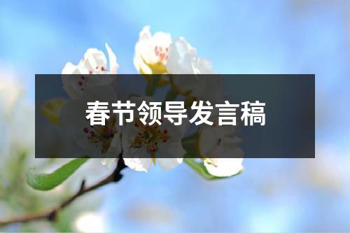 春节领导发言稿