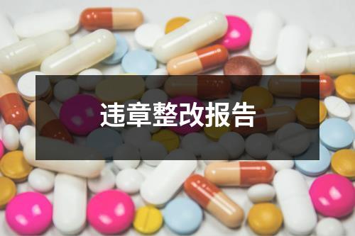 违章整改报告