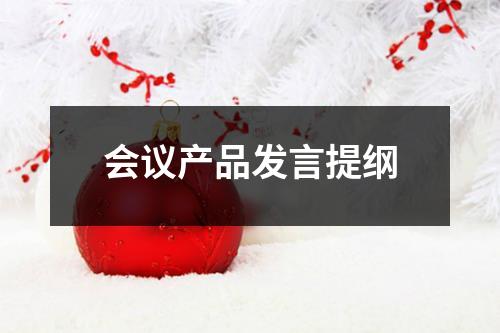 会议产品发言提纲