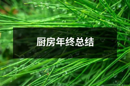 厨房年终总结