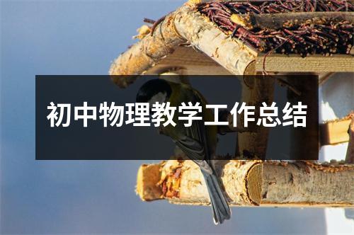 初中物理教学工作总结