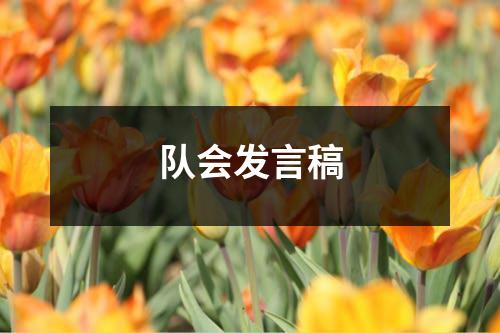 队会发言稿