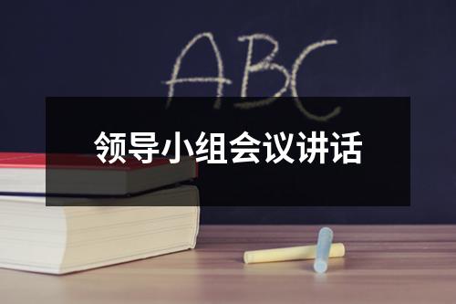 领导小组会议讲话