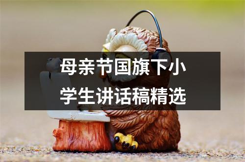 母亲节国旗下小学生讲话稿精选