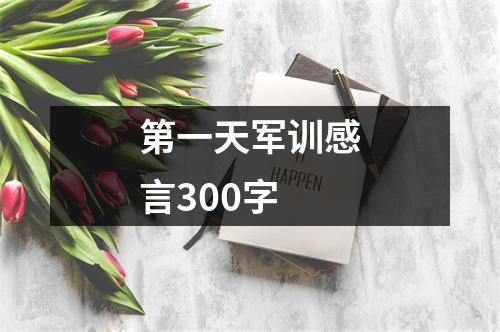 第一天军训感言300字