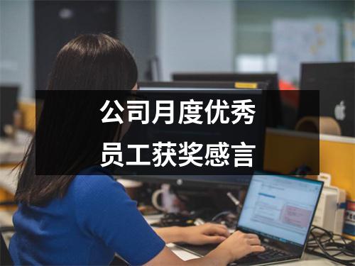 公司月度优秀员工获奖感言