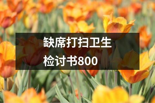 缺席打扫卫生检讨书800