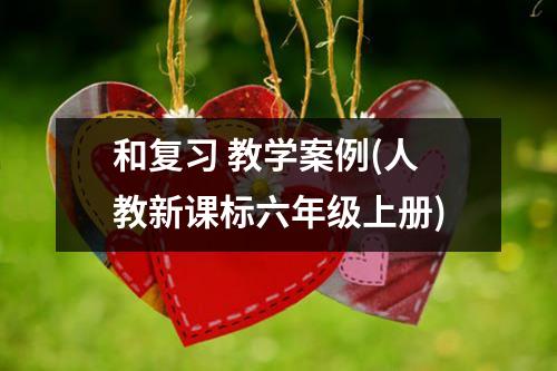 和复习 教学案例（人教新课标六年级上册）