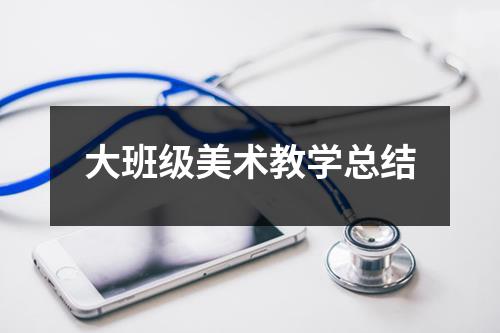 大班级美术教学总结