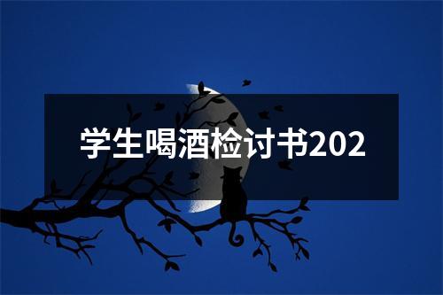 学生喝酒检讨书202