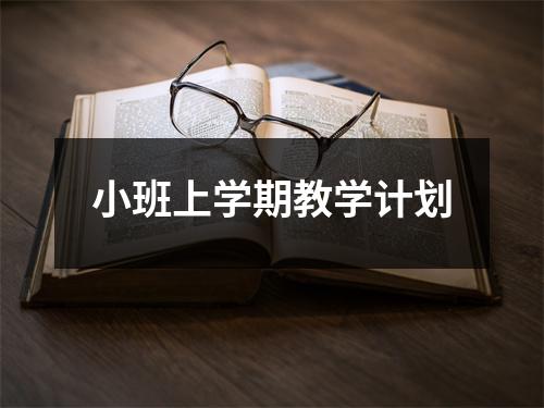 小班上学期教学计划