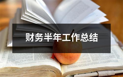 财务半年工作总结