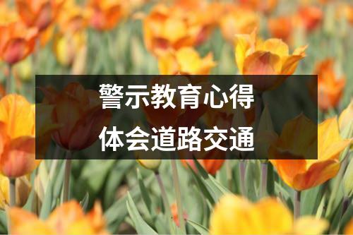 警示教育心得体会道路交通