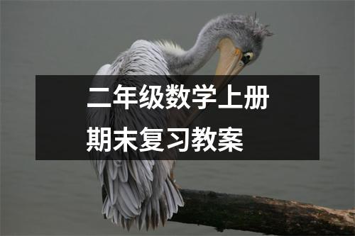 二年级数学上册期末复习教案