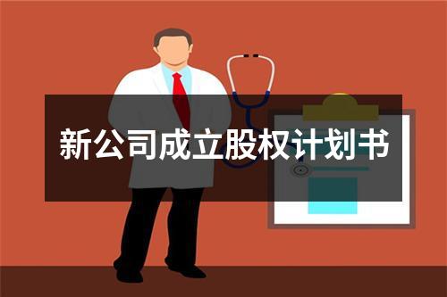 新公司成立股权计划书