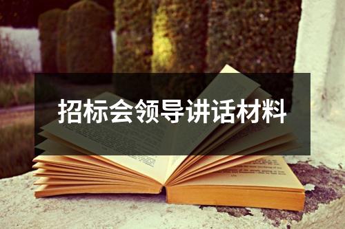 招标会领导讲话材料