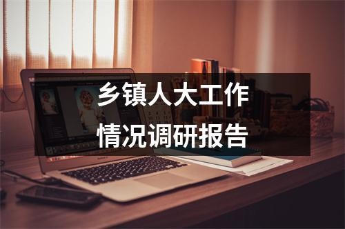 乡镇人大工作情况调研报告