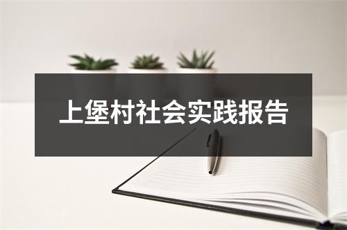 上堡村社会实践报告