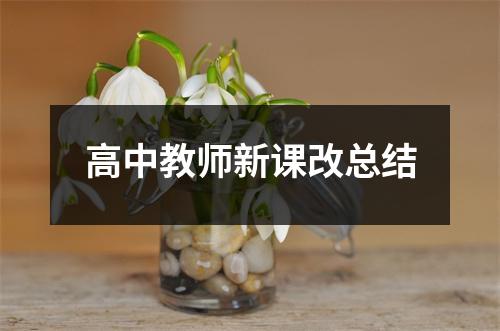 高中教师新课改总结