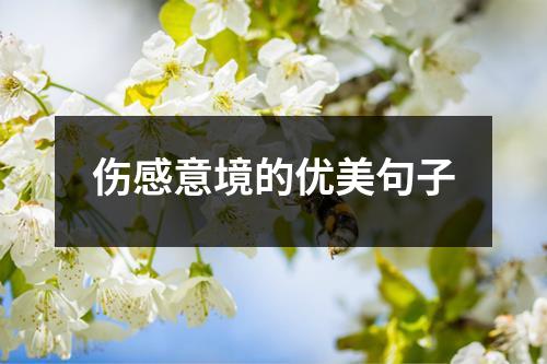 伤感意境的优美句子