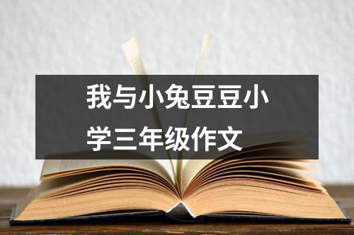 我与小兔豆豆小学三年级作文