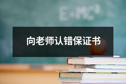 向老师认错保证书