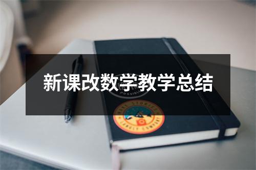 新课改数学教学总结