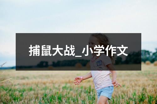 捕鼠大战_小学作文