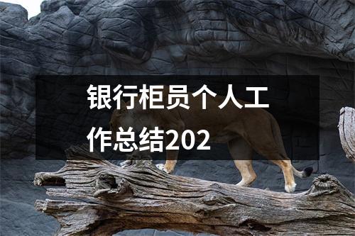 银行柜员个人工作总结202