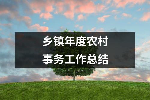 乡镇年度农村事务工作总结