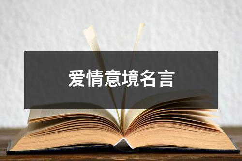 爱情意境名言