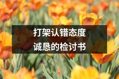 打架认错态度诚恳的检讨书