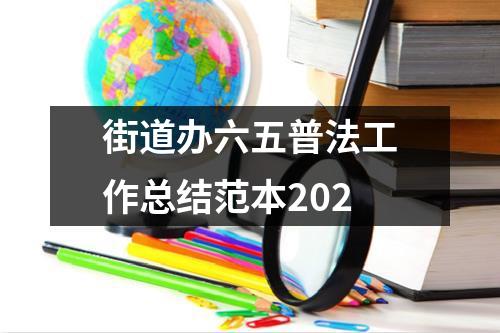 街道办六五普法工作总结范本202