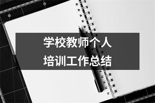 学校教师个人培训工作总结