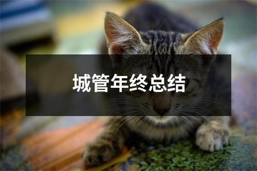 城管年终总结