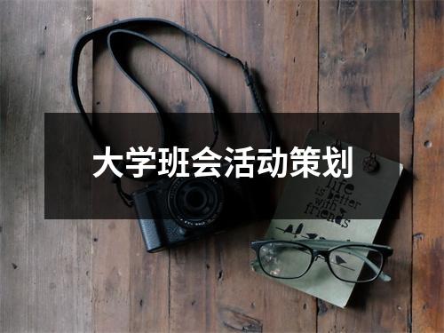 大学班会活动策划