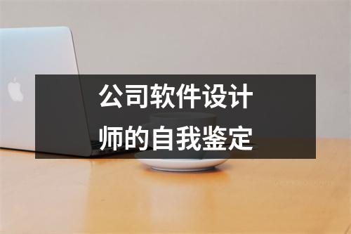 公司软件设计师的自我鉴定