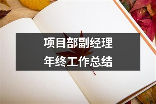 项目部副经理年终工作总结