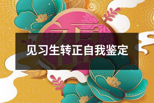 见习生转正自我鉴定