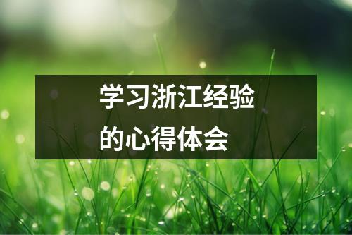 学习浙江经验的心得体会