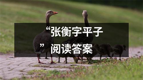 “张衡字平子”阅读答案