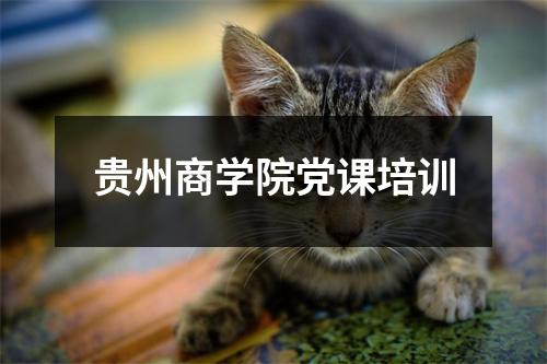 贵州商学院党课培训