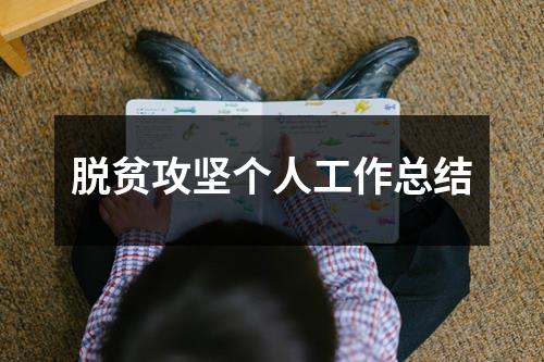 脱贫攻坚个人工作总结