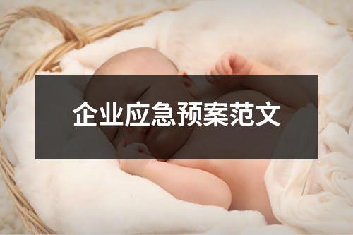 企业应急预案范文