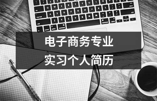 电子商务专业实习个人简历