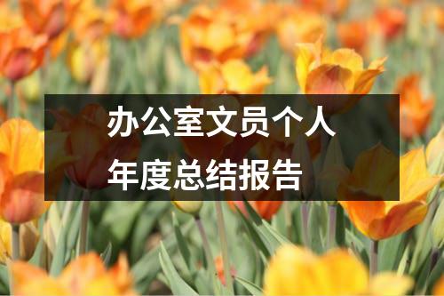 办公室文员个人年度总结报告