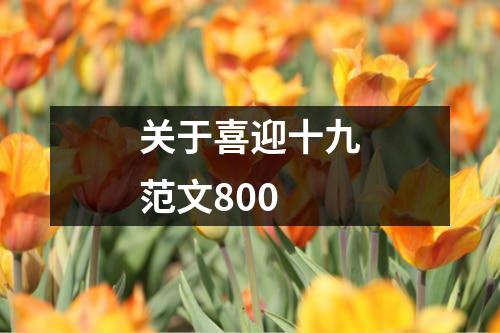 关于喜迎十九范文800